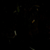 cigarette detection project thumbnail