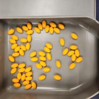Pill Detection New project thumbnail