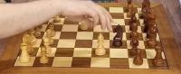 Lilychess-instance-segmentation project thumbnail