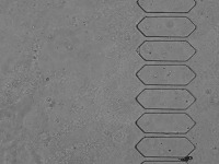 detect project thumbnail