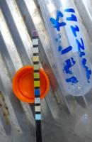 urine-strip-detection project thumbnail