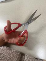 Find scissors 2 project thumbnail