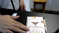 Object Recognition project thumbnail