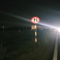 Indian Traffic Sign YOLO project thumbnail