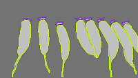 Annotation Visualization