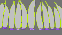 Annotation Visualization