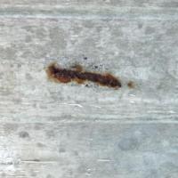 0331-spalling3 project thumbnail