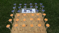 bee and flower project thumbnail