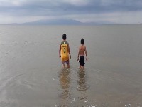 FIN project thumbnail