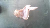 chicken-wing-joint-detection project thumbnail