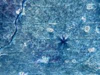 underwater crak project thumbnail