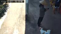 detect person from camera project thumbnail