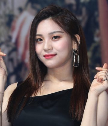 Dianty - Roboflow Universe