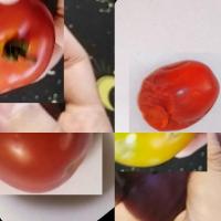dataset90:10 project thumbnail