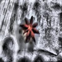 deteksi_BM project thumbnail
