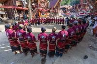 tarian Toraja 2 project thumbnail