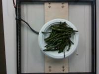 Food Segmentation project thumbnail