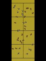 synthetic insect count project thumbnail