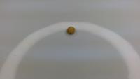 Seed AA project thumbnail