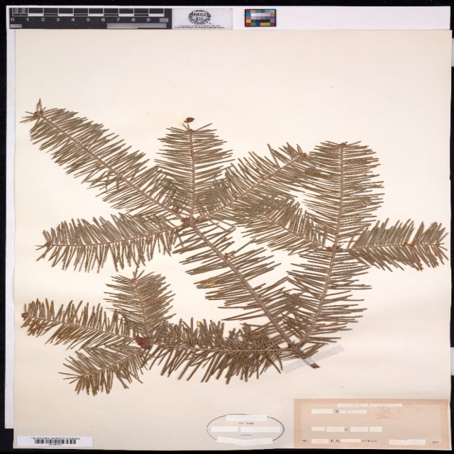 test Instance Segmentation Dataset by skoltech
