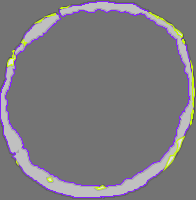 Annotation Visualization