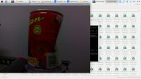 Dataset Image