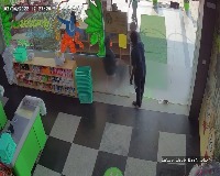 Dataset Image