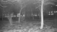 person1 project thumbnail
