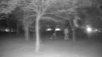 person project thumbnail