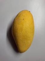 Find Ripe Mangos project thumbnail