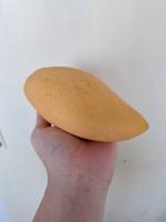 Find Ripe Mangos project thumbnail