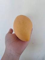 Mango project thumbnail