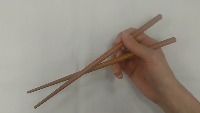 hashi_xjud 2 project thumbnail
