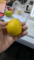 PROJECT QC BUAH project thumbnail