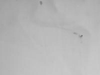 fabric_defect_detection project thumbnail