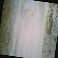 RoadDamage-splitdata project thumbnail