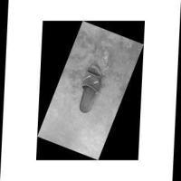 Model7InsideGreyscale project thumbnail