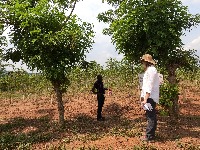 NASA Harvest project thumbnail