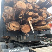 segment wood project thumbnail