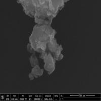 nanoparticlelabeling-4-easy-task project thumbnail