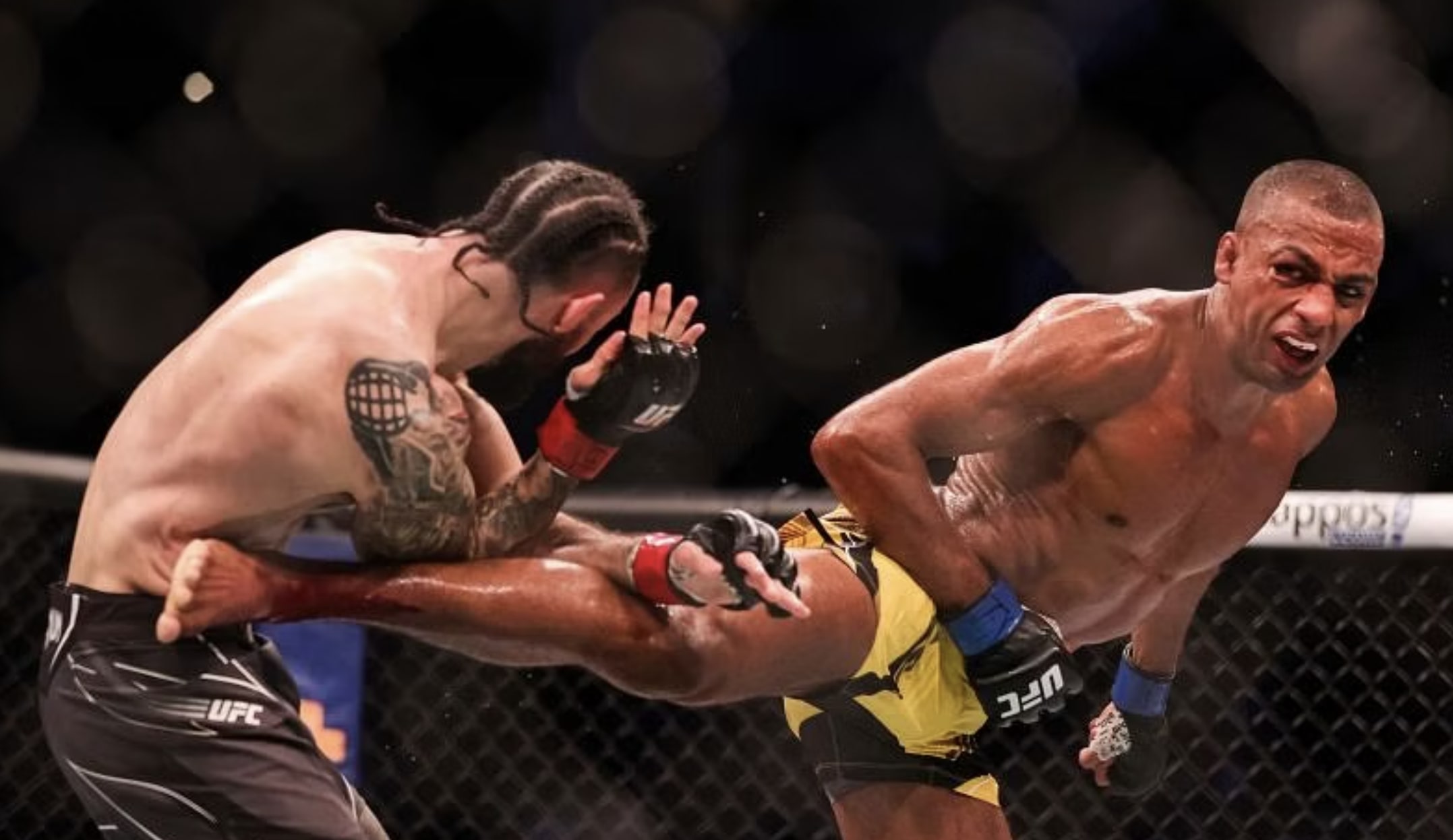 kick and punch detection Classification Dataset by fightdataset