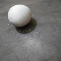 Egg Size Classification project thumbnail