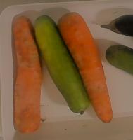 Vegetable Segmentation project thumbnail