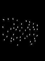 Rice Detection project thumbnail