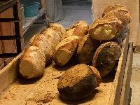 Bread_A02_IPCV project thumbnail