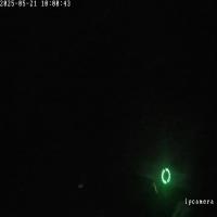 green project thumbnail