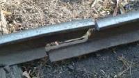 rail_fitting_detection project thumbnail