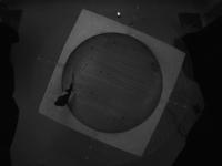 Rat Tracker project thumbnail