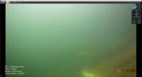 vortex_pipeline_tac_2024_11.27.2 project thumbnail