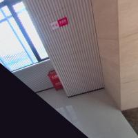 scene3_cam1_undistorted_seg project thumbnail